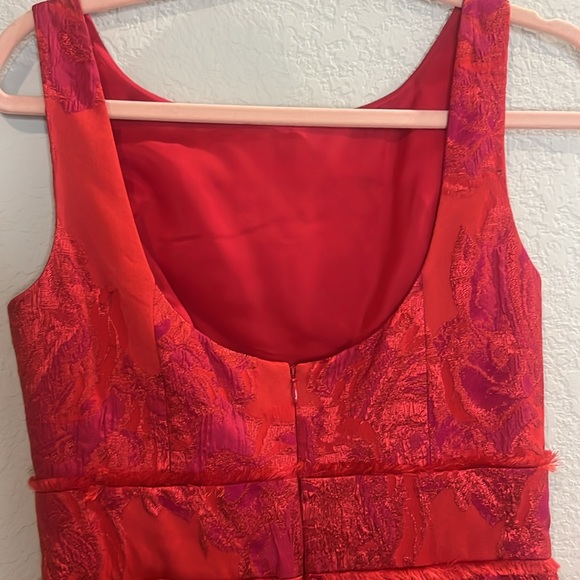 Theia Alexis Fringe Cocktail Dress red pink size 8. V neck back. Stunning - Picture 5 of 8